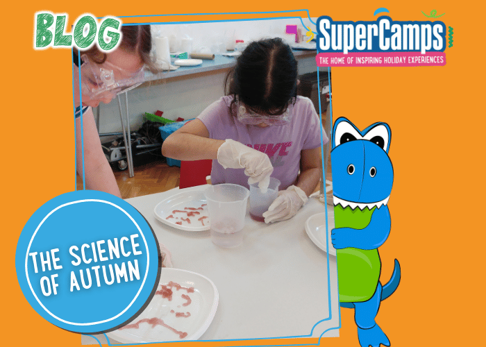 Kids exploring autumn science with leaves, conkers and pumpkins