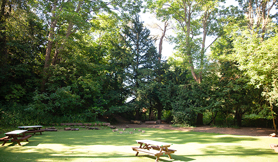 Duncombe wood area