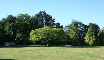 School Field