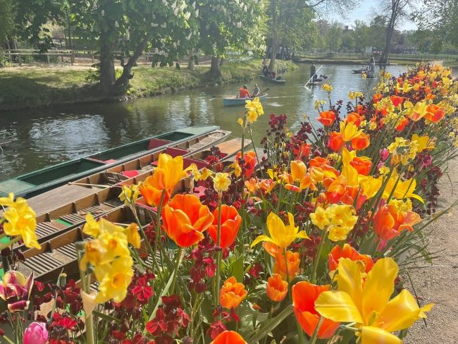 Oxford botanical gardens