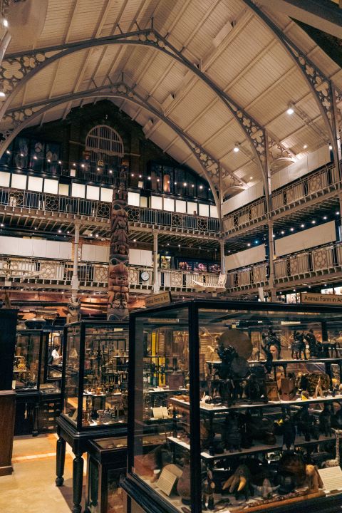 Pitt Rivers